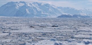 Antarktyka a zmiany klimatu