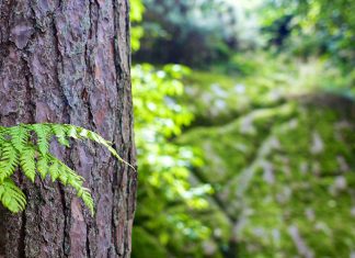 Pobyt w Gdańsku – poznaj 5 najlepszych parków w mieście