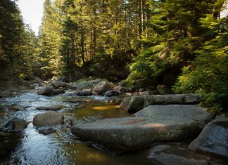 Spływ kajakowy – co zabrać