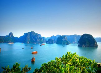 Magiczna flora i fauna Wietnamu