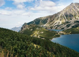 Czym kierować się podczas wyboru apartamentu dla rodziny z dziećmi? Czym kierować się podczas wyboru apartamentu dla rodziny z dziećmi?
