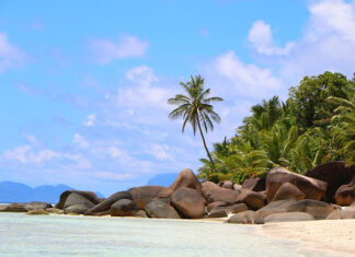 Co zwiedzić na Seszelach? Seszele