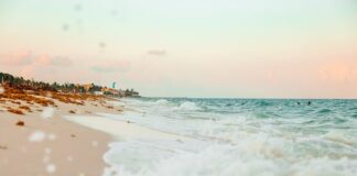 Sporty wodne na Karaibach