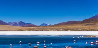 Natura i ekoturystyka w Ameryce Południowej