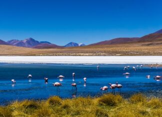 Natura i ekoturystyka w Ameryce Południowej