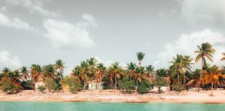 Kultura i sztuka Karaibów