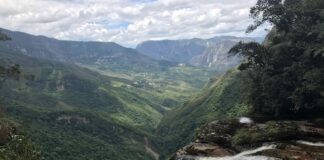 Fauna i flora Ameryki Południowej