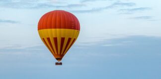 Afrykańska fauna i flora