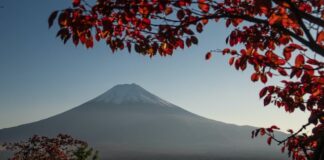 Polityka i relacje międzynarodowe Azji