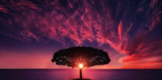 Jakie jest morze w Chorwacji?