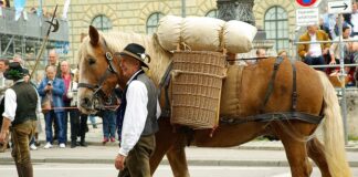 Co jedli chłopi w Polsce?