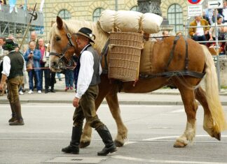 Co jedli chłopi w Polsce? Co jedli chłopi w Polsce?