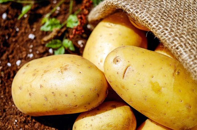 Co było w Polsce przed ziemniakami?