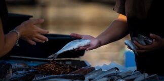 Co opłaca się sprzedawać w Niemczech?