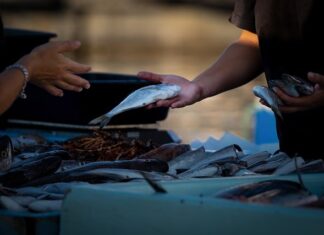 Co opłaca się sprzedawać w Niemczech?