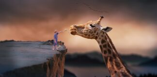 Czy opłaca się żyć w Niemczech?