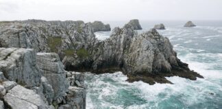 O co pyta celnik w USA?