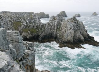 O co pyta celnik w USA? O co pyta celnik w USA?