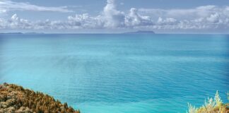 Czy Albanią to dobra drużyna?