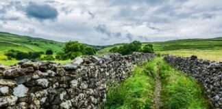 Z czego Anglia jest bogata?