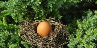 Czy ptasie mleczko jest za granicą?