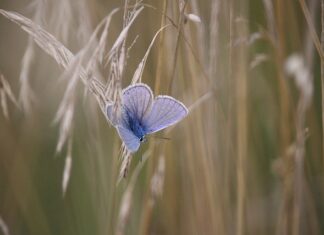 Co to znaczy See ya? Co to znaczy See ya?