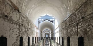 Jaka jest kara za brak winiety w Austrii?