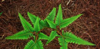 Gdzie wyjechało najwięcej Polaków?