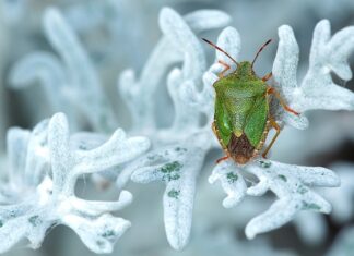 Co jest tanie w Chorwacji? Co jest tanie w Chorwacji?