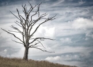 W którym kraju najlepiej się żyje? W którym kraju najlepiej się żyje?