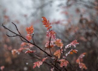 Gdzie nie ma ruskich na wakacjach? Gdzie nie ma ruskich na wakacjach?