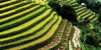 Ile krajów jest w Ameryce Łacińskiej?