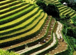 Ile krajów jest w Ameryce Łacińskiej? Ile krajów jest w Ameryce Łacińskiej?