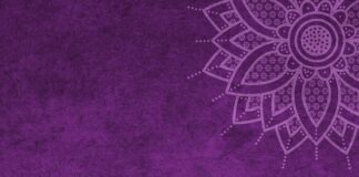 Ile kosztuje mandat za brak winiety w Słowenii?