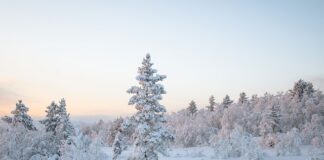 Gdzie jest zimno w USA?