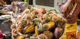 Jak najtaniej dojechać do Chorwacji?