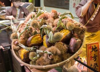 Jak najtaniej dojechać do Chorwacji? Jak najtaniej dojechać do Chorwacji?