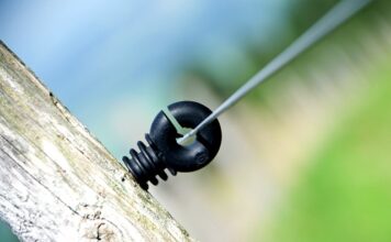 Czy w USA lubią Polaków?