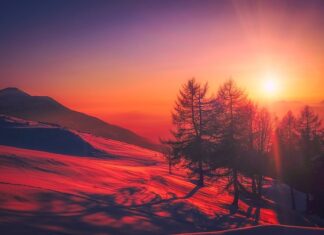 Jaki kraj ma p na rejestracji? Jaki kraj ma p na rejestracji?