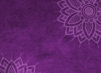 Ile wynosi mandat za spanie na dziko? Ile wynosi mandat za spanie na dziko?