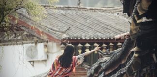 Co oznacza litera V na czołgach?