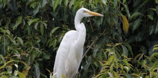 Gdzie najlepiej mieszkać na Florydzie?