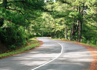 Ile trzeba zapłacić za 100 koron czeskich?