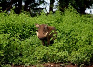 Jakie mecze na Narodowym 2023? Jakie mecze na Narodowym 2023?