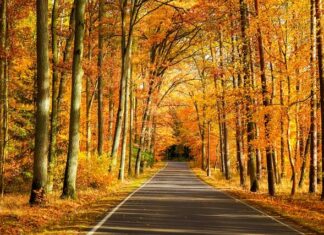 Czy Bydgoszcz jest większa od Paryża?