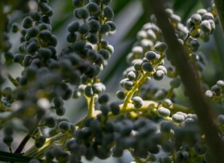 Co warto zjeść w Lublanie? Co warto zjeść w Lublanie?