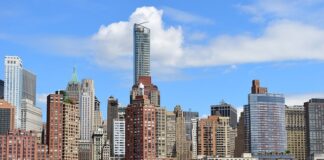 Co zostało przywiezione z Ameryki do Europy?