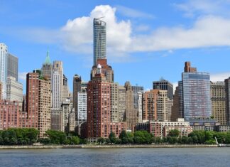 Co zostało przywiezione z Ameryki do Europy?