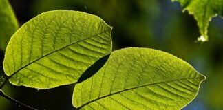 Jak wygląda zimą w Ameryce?