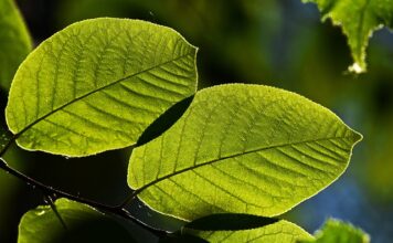 Jak wygląda zimą w Ameryce?